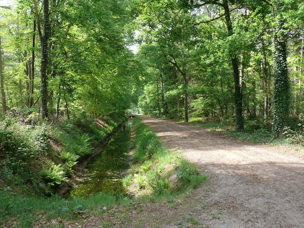 Buitenplaats Gerner Dalfsen Exteriör bild