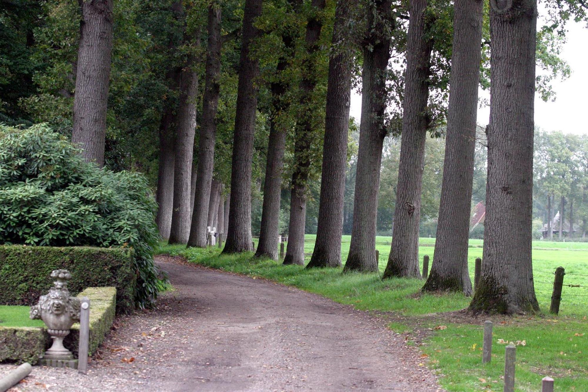 Buitenplaats Gerner Dalfsen Exteriör bild