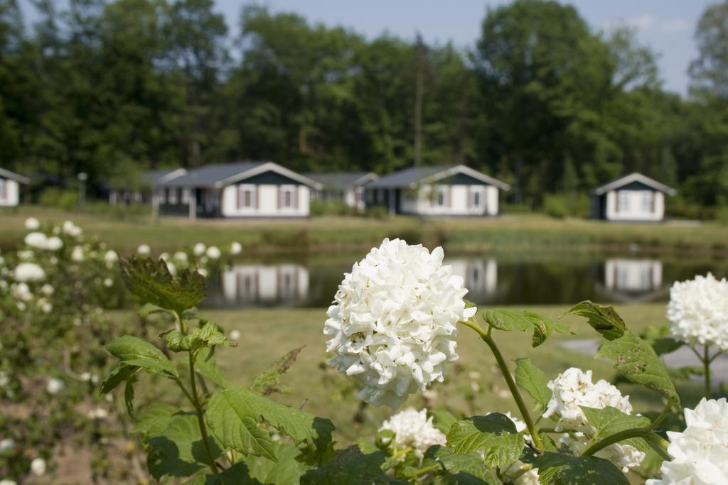 Buitenplaats Gerner Dalfsen Exteriör bild