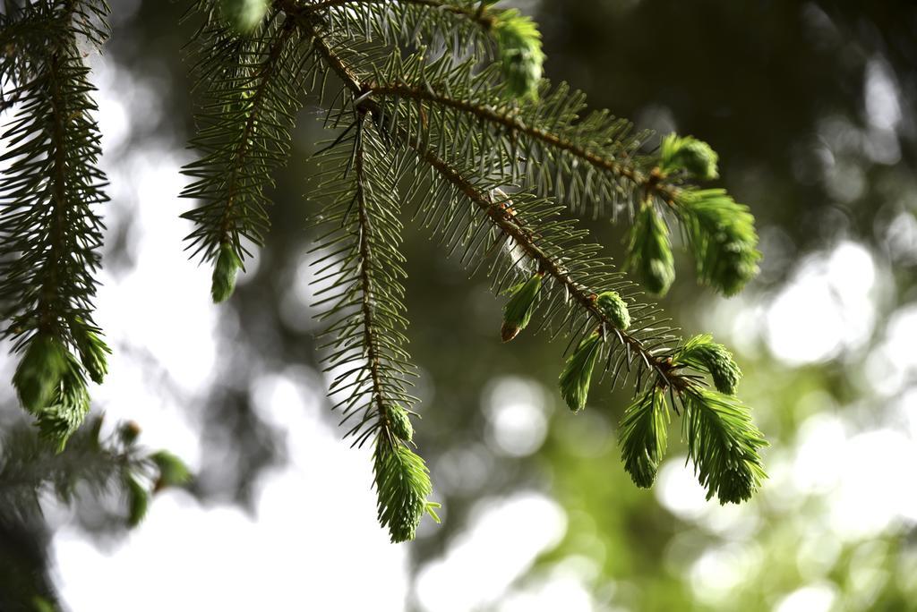 Buitenplaats Gerner Dalfsen Exteriör bild